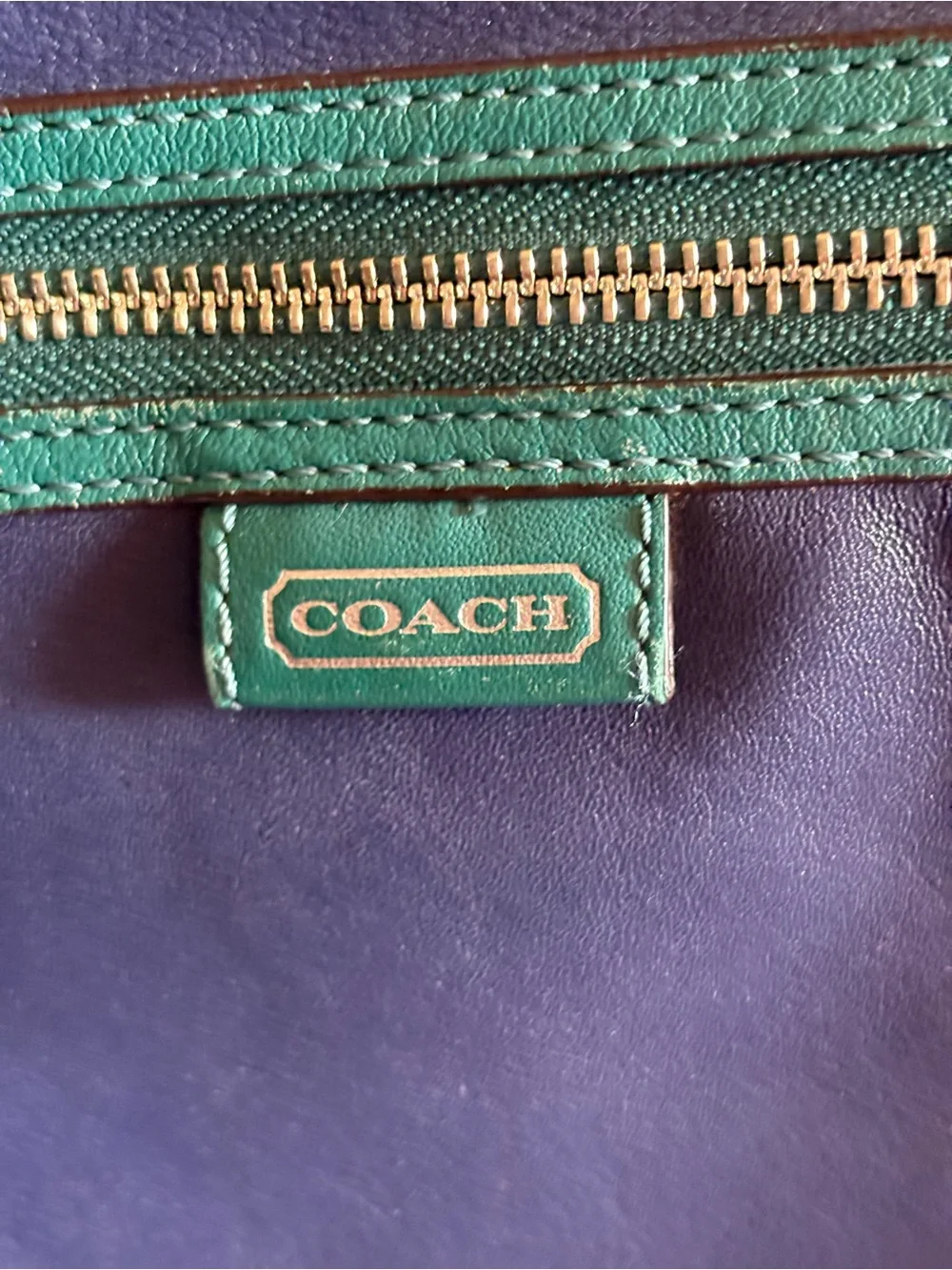 PROJECT PURSE***Coach Daisy Spectator Emma Tote
